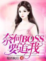 奈何BOSS要追我