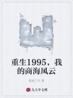 重生1995，我的商海风云