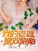 我的老婆是双胞胎