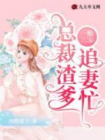 一胎三宝：总裁渣爹追妻忙