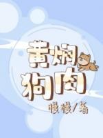 黄焖狗肉
