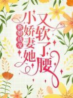 新婚诱宠：小娇妻她又软了腰