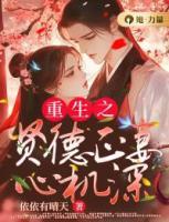 重生之贤德正妻心机深