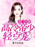 豪门闪婚：高冷帝少轻点宠