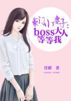 豪门小妻子：boss大人等等我