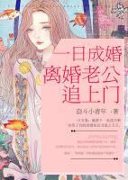 一日成婚，离婚老公追上门