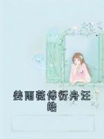 姜雨薇傅衍舟汪皓