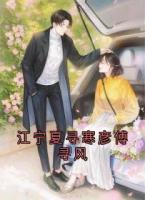 江宁夏寻寒彦傅寻风