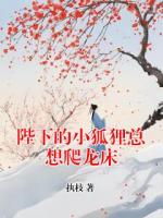 陛下的小狐狸总想爬龙床