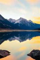 再遇前任，霸总被迫低调