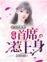 缠情私宠：恶魔首席惹上身