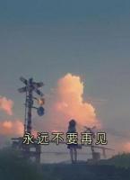 永远不要再见
