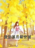 爱如孤月缚空城