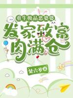 重生极品恶婆婆，发家致富肉满仓
