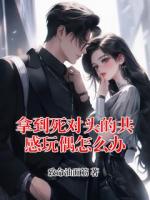 拿到死对头的共感玩偶怎么办