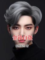 金锁自盗