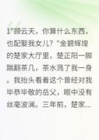 入赘千金被退婚后我登顶豪门