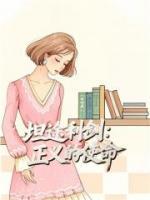 坦途利剑：正义的使命
