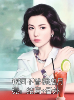 银河不曾拥抱月亮：结局+番外