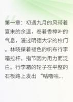 时光未语情先殇