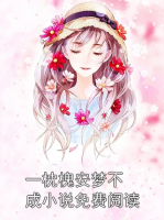 一枕槐安梦不成小说免费阅读