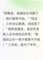 协议三年期满，总裁砸千万不离婚