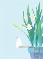玫瑰死于盛夏