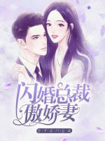 闪婚总裁傲娇妻