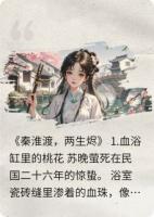 秦淮渡，两生烬