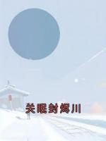 关眠封烬川