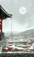 无意情深