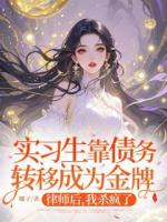 实习生靠债务转移成为金牌律师后，我杀疯了