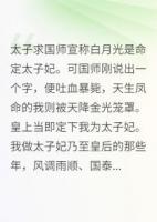 太子求国师宣白月光是命定太子妃