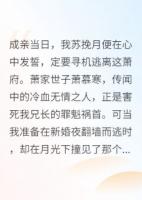 嫁给仇人世子后，我怀了他的孩子