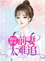 限时婚宠：前妻太难追