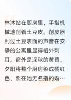 巴黎没有周太太