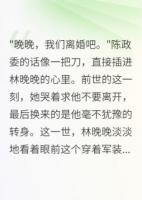 老公为初恋要假离婚我转身改嫁