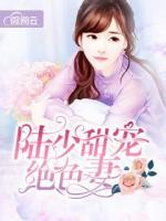 陆少甜宠绝色妻