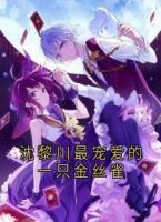 沈黎川最宠爱的一只金丝雀