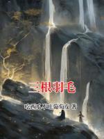 三根羽毛