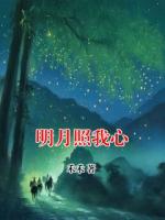 明月照我心