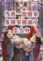 当我一觉醒来发现家被偷了怎么办
