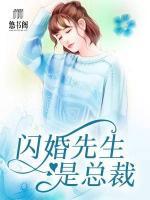 闪婚先生是总裁