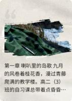 东极岛的风,吹过迷彩绿