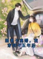 跟妻子离婚,我穿到十五年后