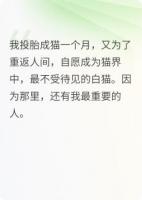 猫生有涯，爱无涯