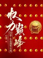 问鼎：从选调警员到权力巅峰