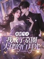 离婚当天，我成了京圈大佬的白月光