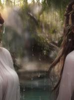 总裁把千万奖金颁给女实习生后，我直接让公司破产