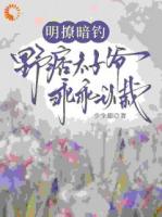 京圈伪装者，联姻之下藏锋芒